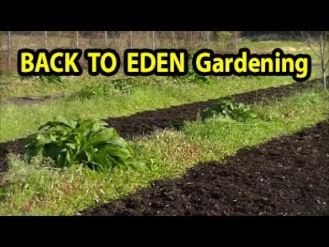 STOLEN Wood Chips Mulch - Back to Eden Gardening