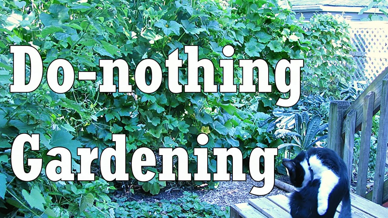 Toward a Do-nothing Gardening, pt. 1: Soil Fertility (Lazy Gardening)