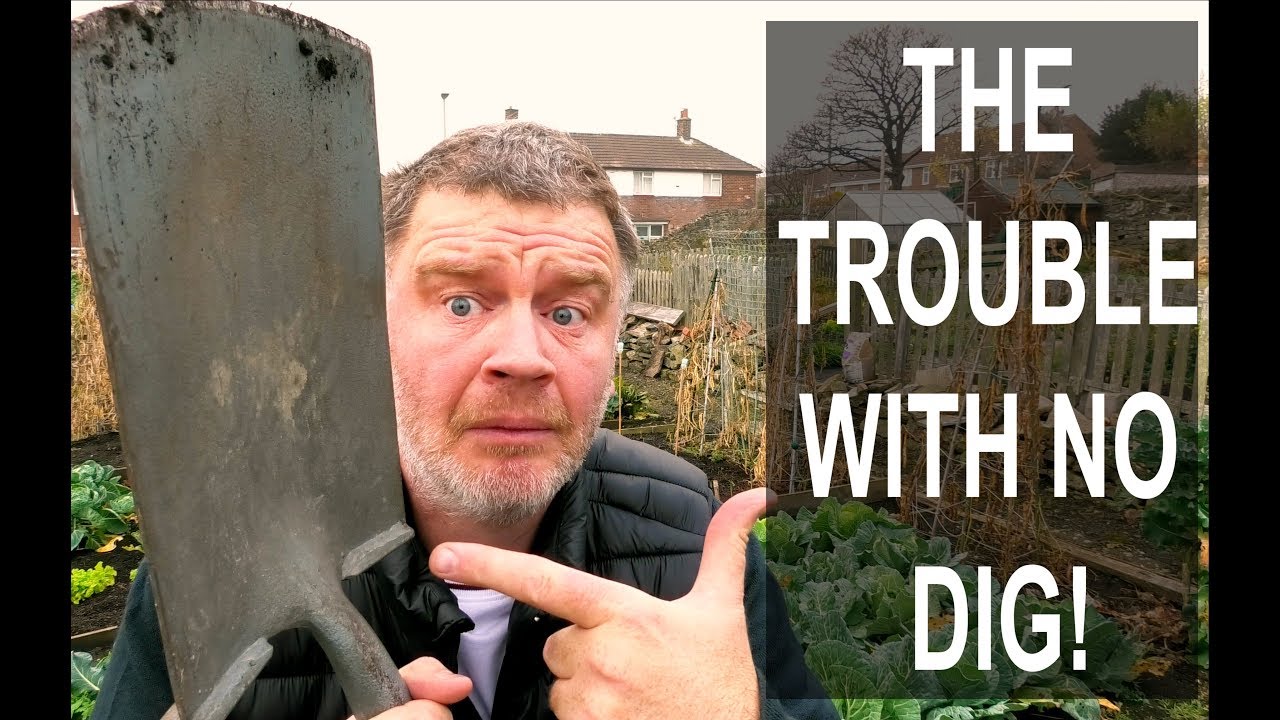 The TROUBLE With No Dig Gardening is...