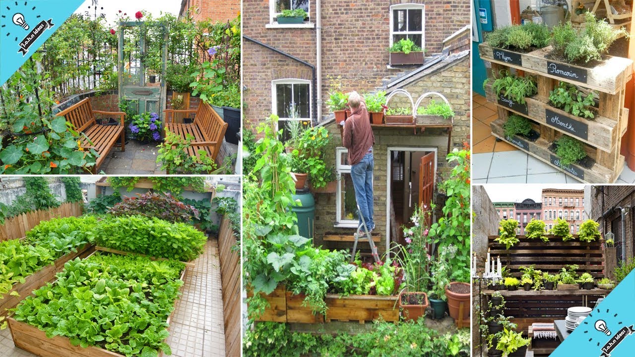 Small vegetable gardening ideas | 100 Clever Ideas to Grow in a Limited Space