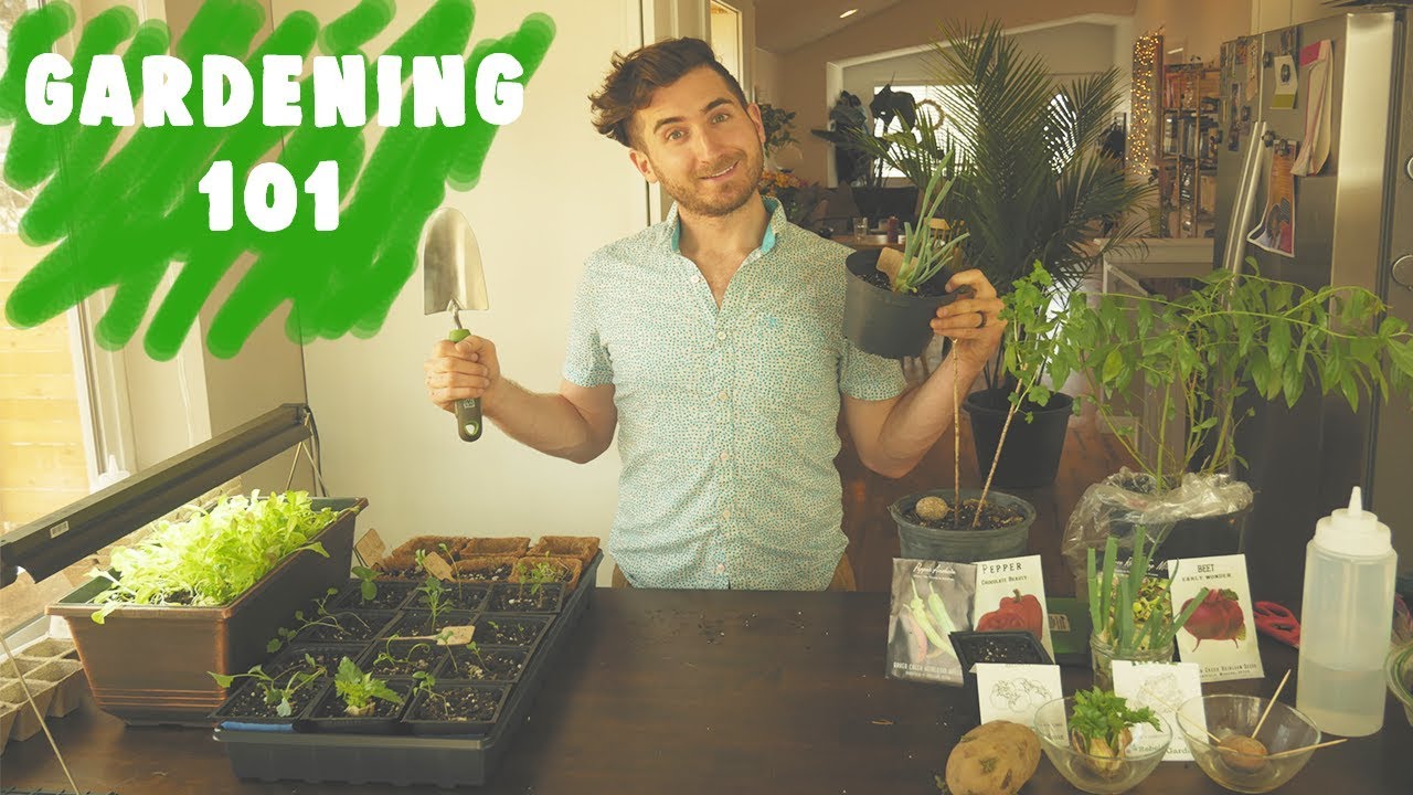 Beginner's Guide to Gardening & Growing Your Own Food