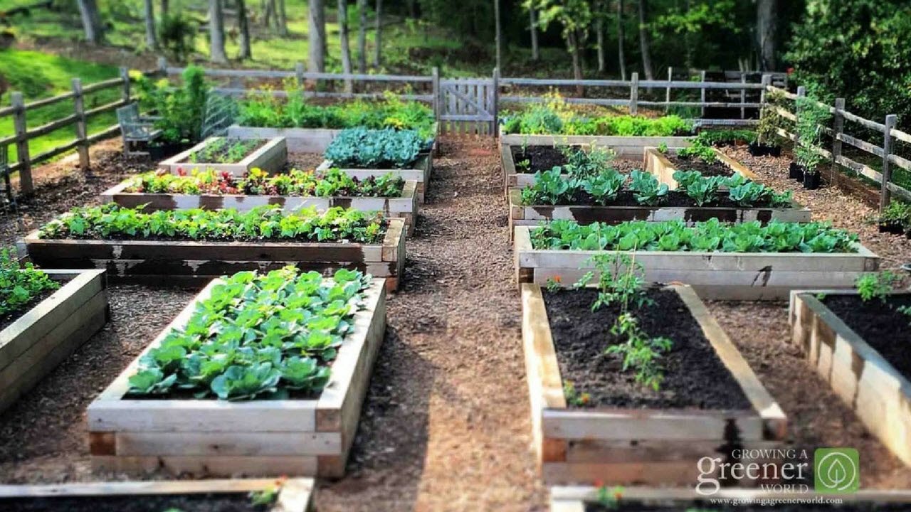 Learn the Benefits of Gardening in Raised Beds