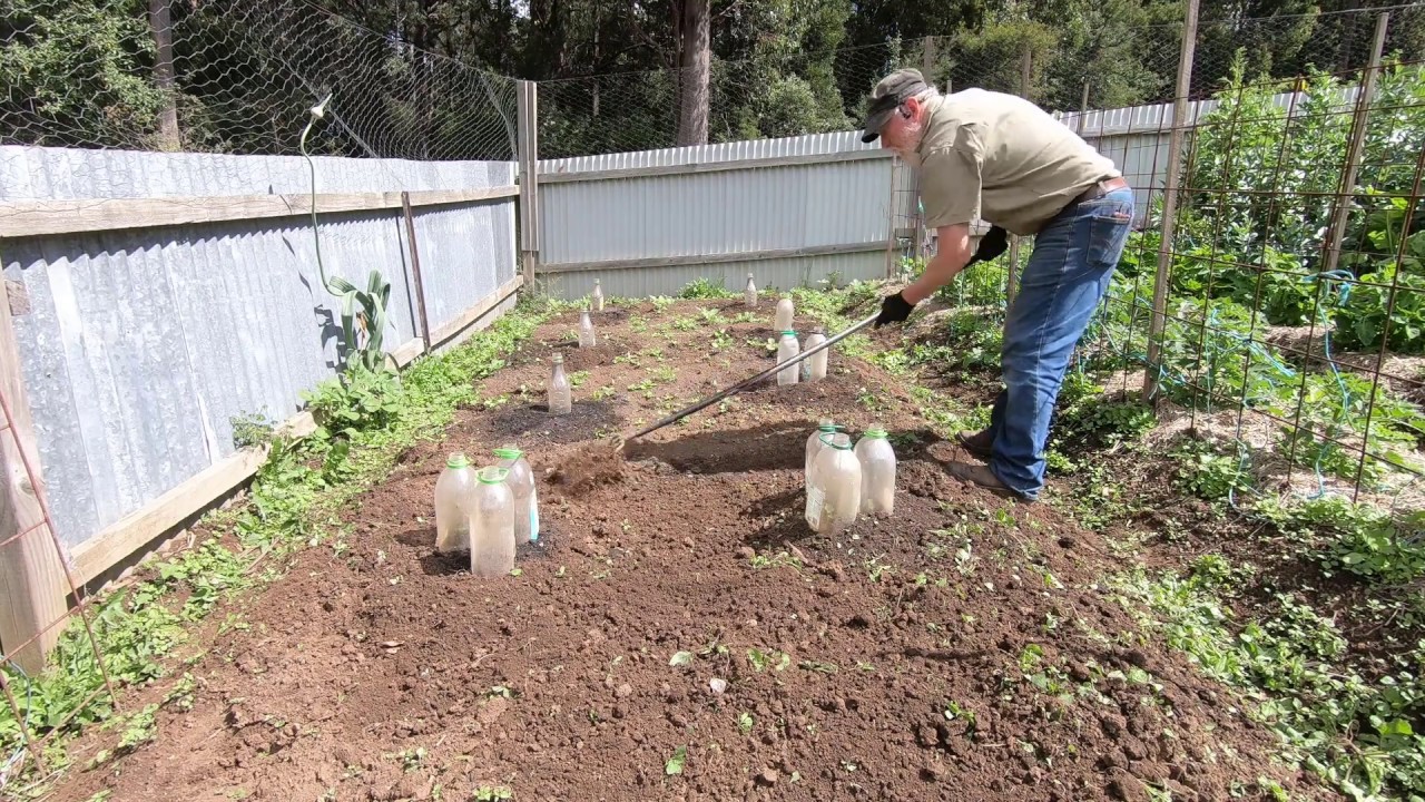 Gardening - Don't FORGET the BORING BITS!