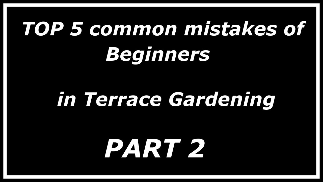 Top 5 common mistakes by beginners in Terrace Gardening (Part - 2)