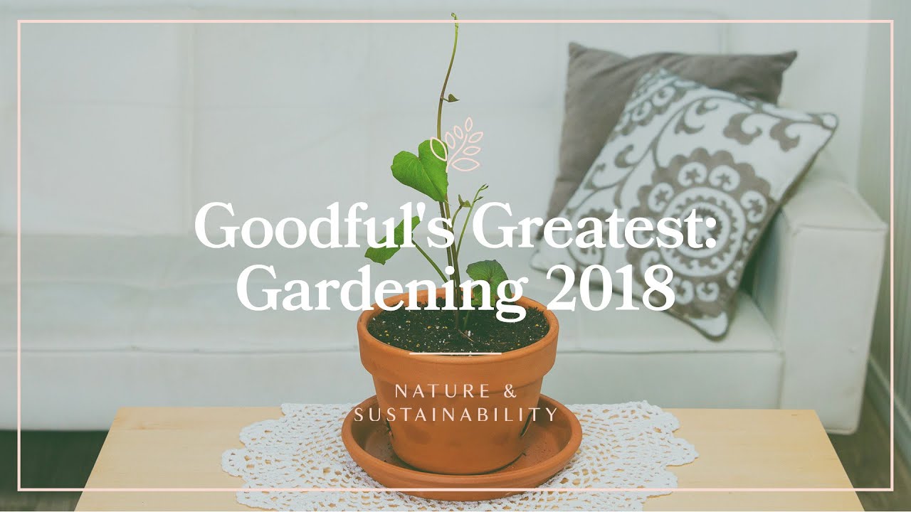 Best Goodful Gardening Videos Of 2018