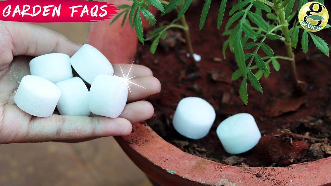 5 SHOCKING GARDENING IDEAS AND SECRET QUESTIONS ANSWERED | Garden Tips