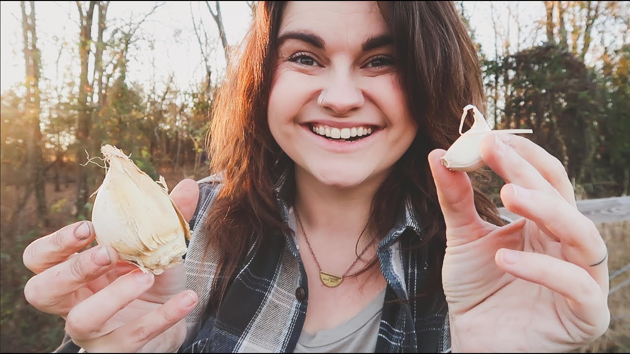 Planting Garlic With Ben | Gardening VLOG | Roots and Refuge Farm