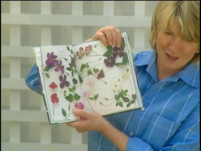 Martha Stewart Gardening
