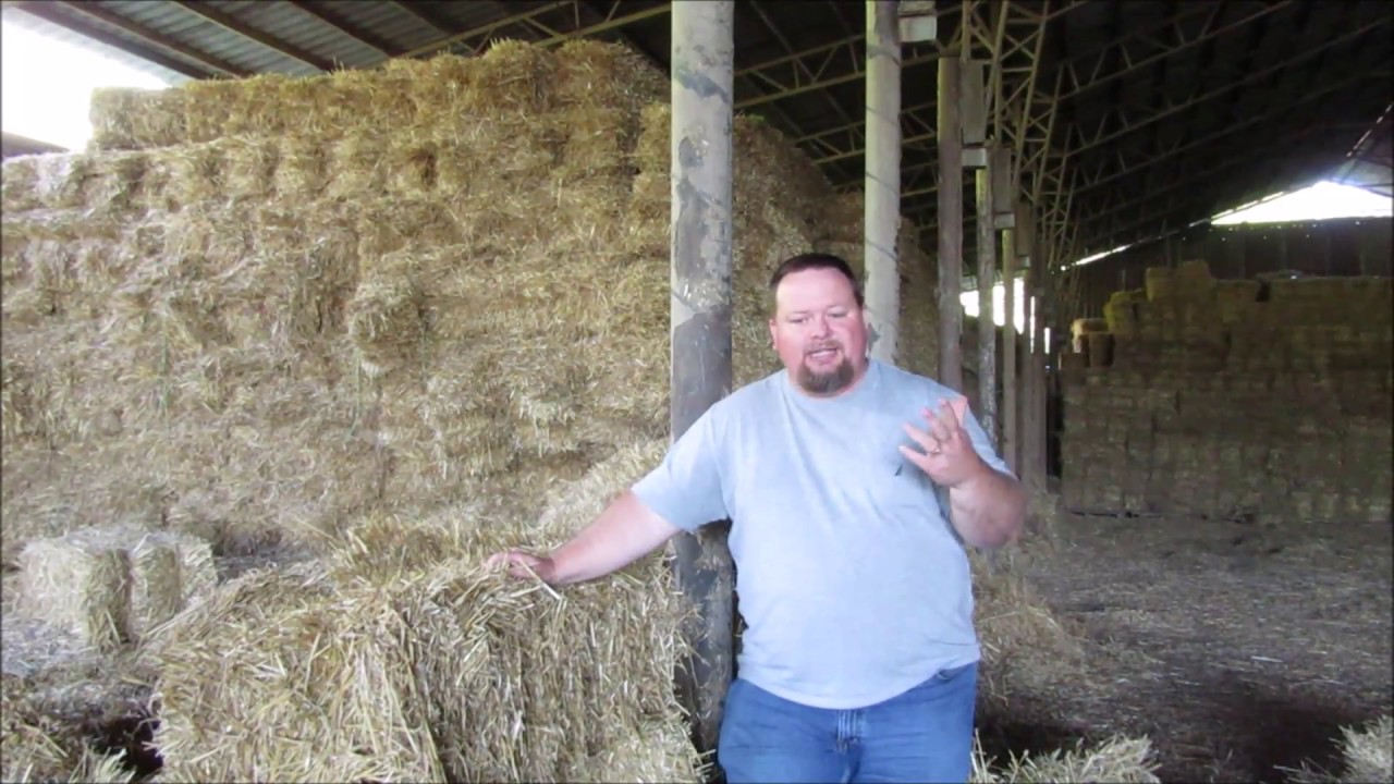The Truth About Straw Bale Gardening