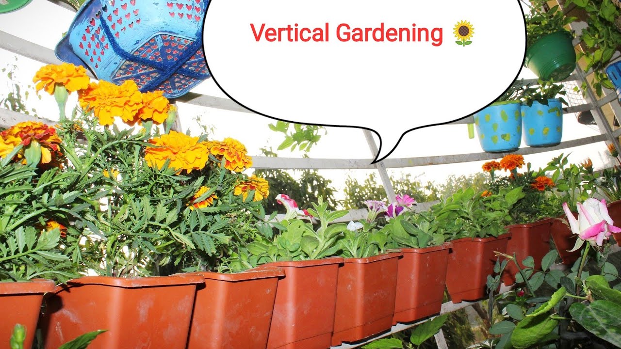 Vertical Gardening ?..कम जगह मे गर्डनिगं करने का आसान तरीका /Balcony Garden