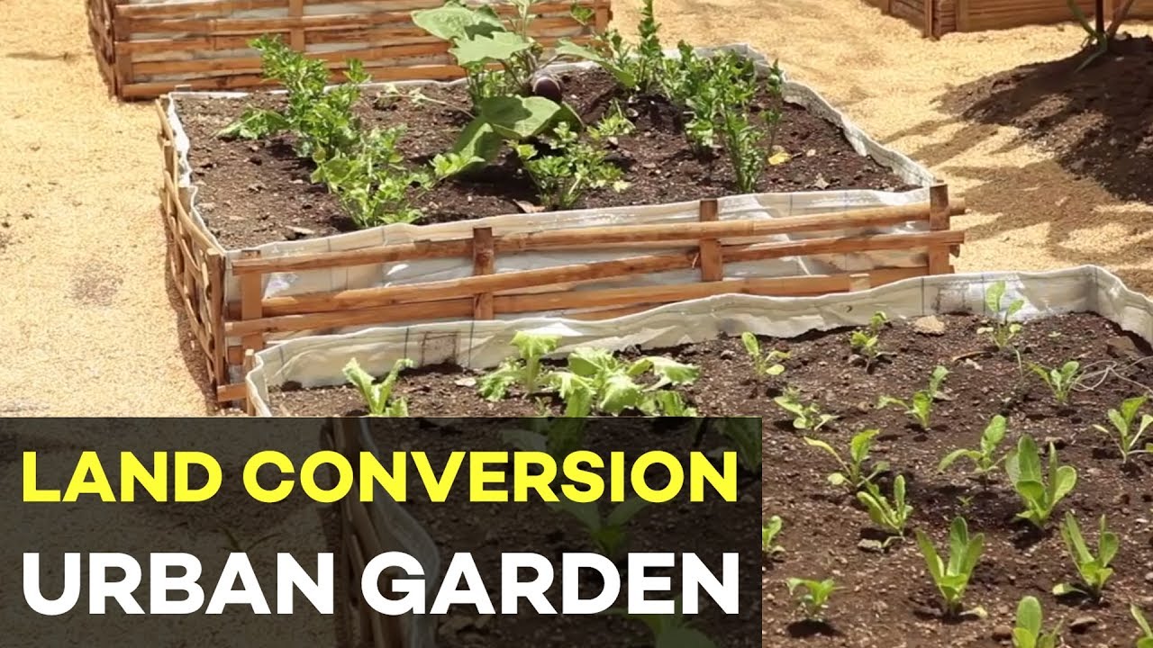 Urban Gardening in the Philippines and Land Conversion: Earn Money from your Garden