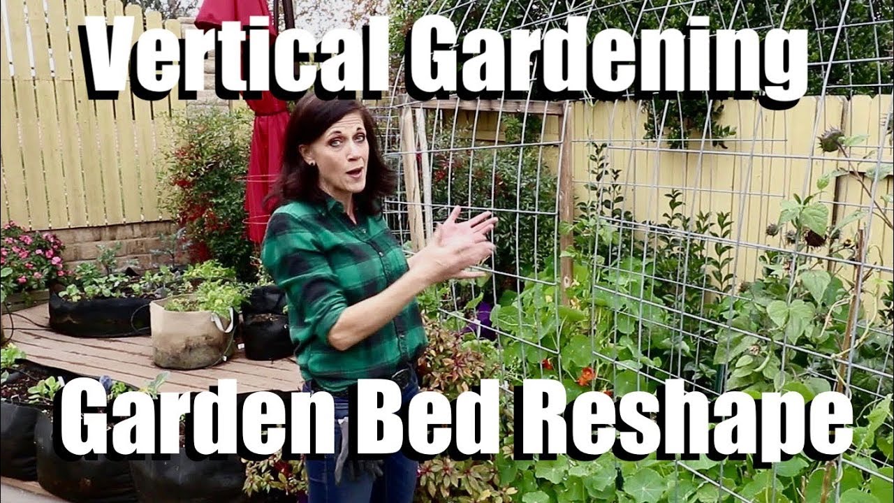Vertical Gardening - Garden Bed Reshape - Planting Runner Beans & Peas on a Cattle Panel Trellis