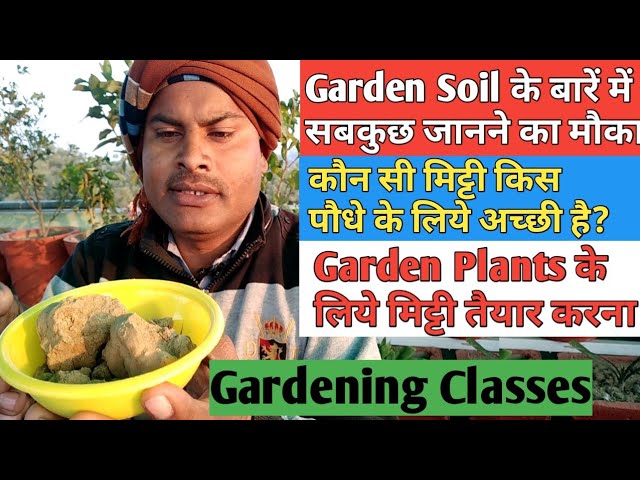 Basic gardening tips for beginners || lesson - 2