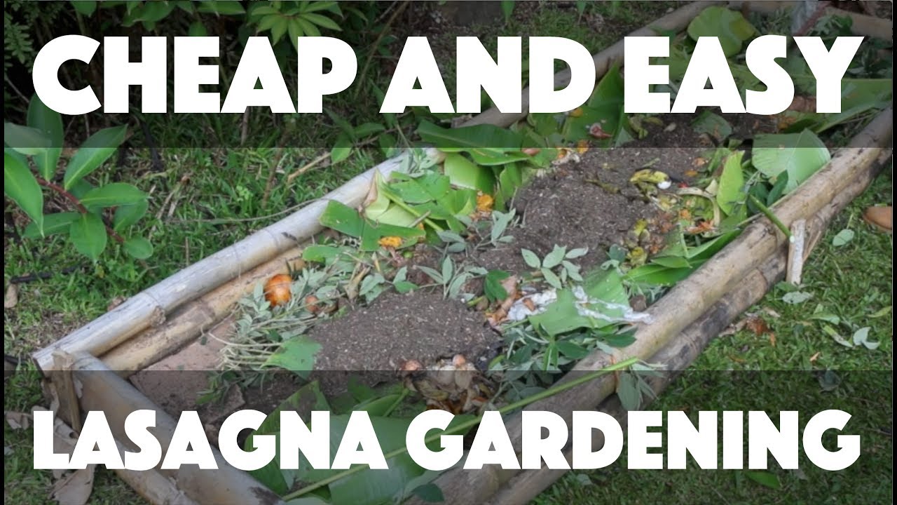 Cheap and Easy Lasagna Gardening