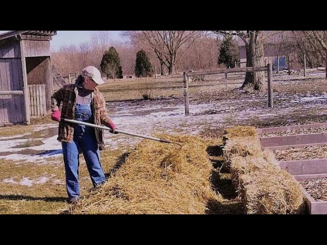 Ruth Stout Deep Mulch Gardening Experiment Part 1 All Season