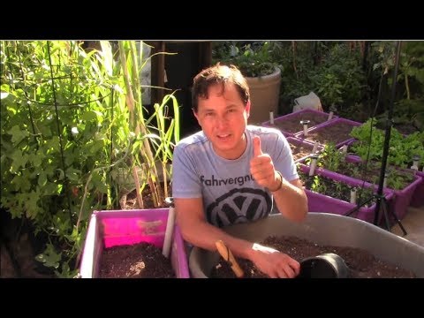 Spring Live Stream from my Spring Backyard Garden Q&A - Get Your Gardening Questions Answered