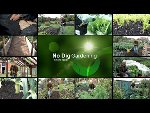 Photos of Garden Types