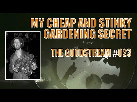 My Cheap and Stinky Gardening Secret (Goodstream #023)