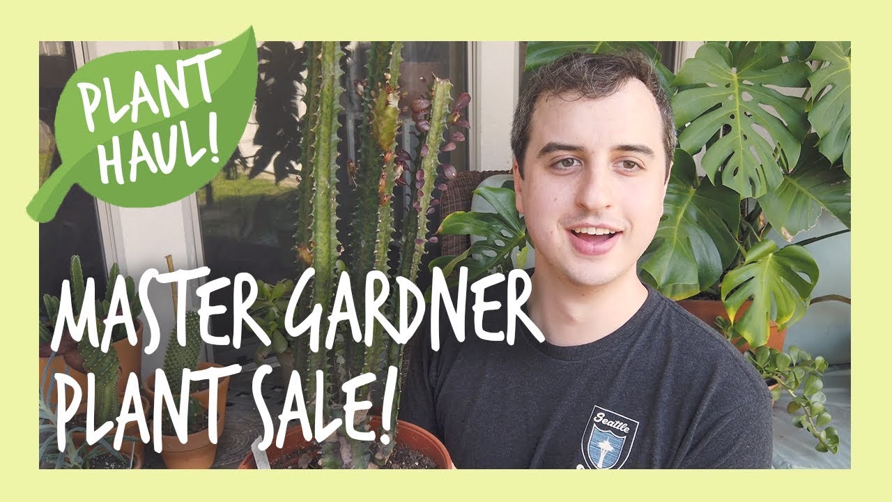 Plant Haul! | EBR Master Gardner Plant Sale
