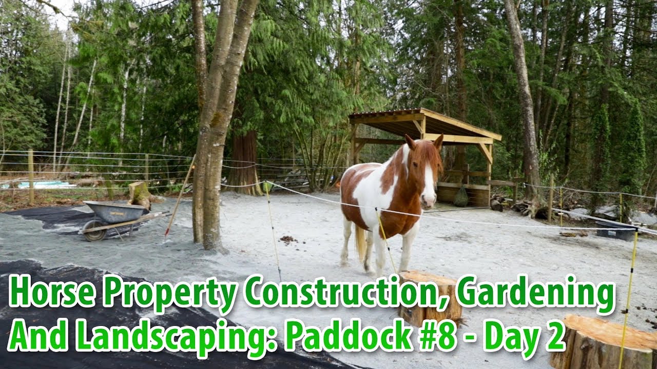 Horse Property Construction, Gardening, And Landscaping: Paddock 8   Day 2