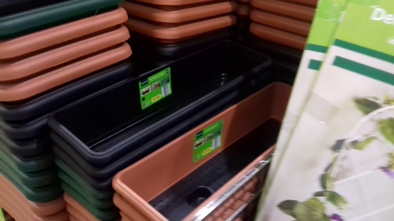 More Aldi gardening products! Come shopping with Gardener Dan!