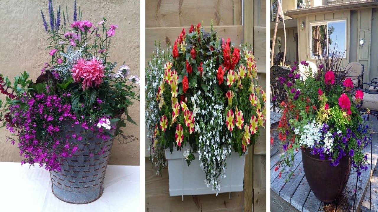 Outdoor Container Gardening: Planting a Beautiful Pot of Flowers