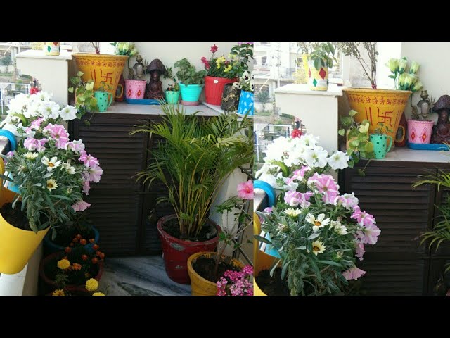 April balcony Garden overview with gardening tips/organic gardening landscape/Anvesha,s creativity