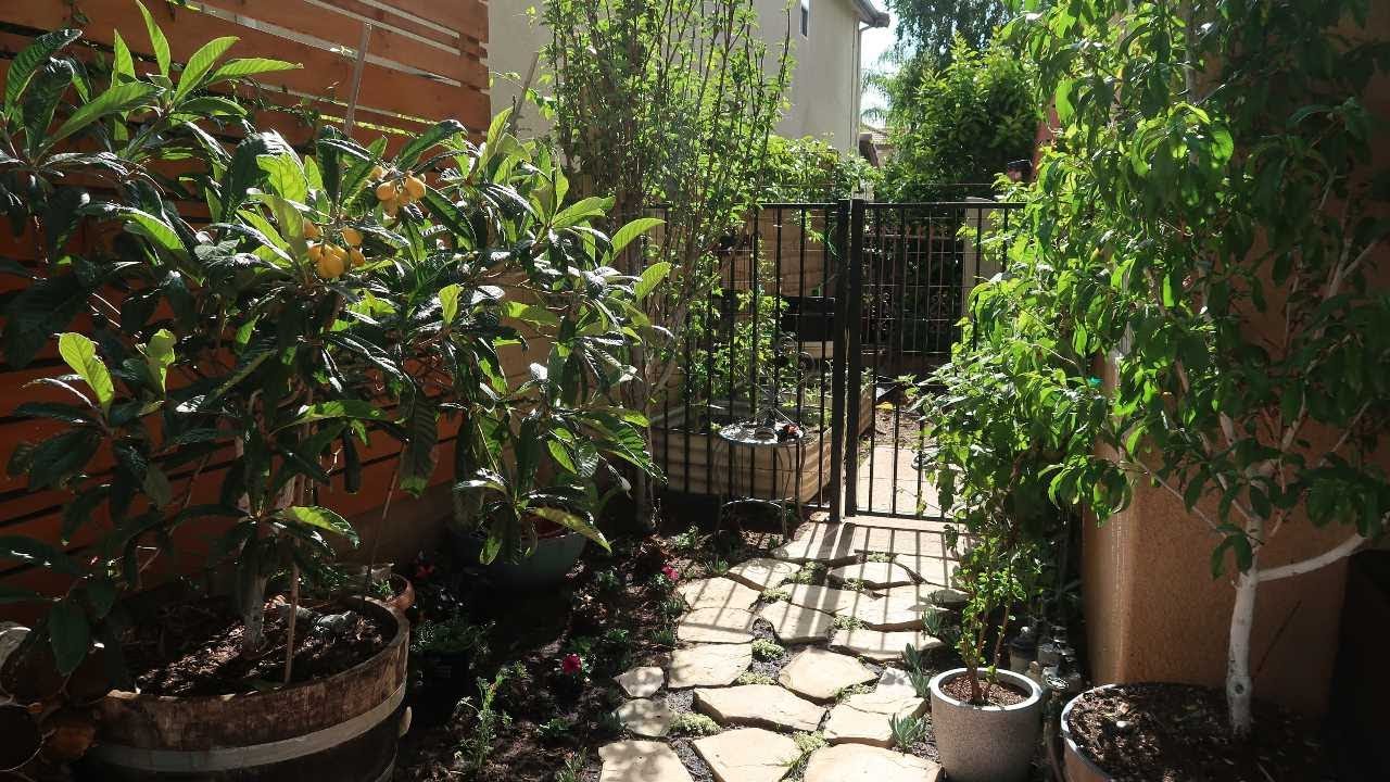 Backyard Urban Edible Garden Tour Spring 2019 // Food Forest / Container Gardening