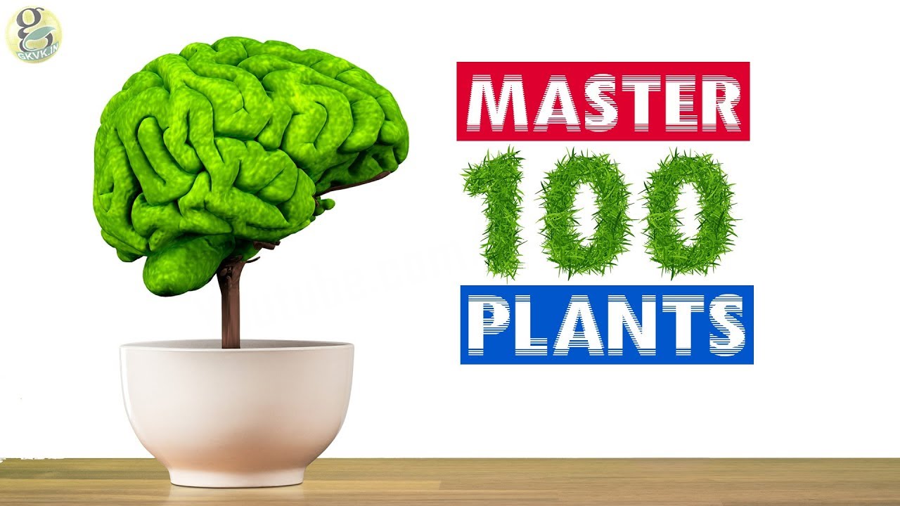 MASTER GARDENING IN 1 DAY! | 100 COMMON HOUSE PLANTS WITH QUICK CARE TIPS