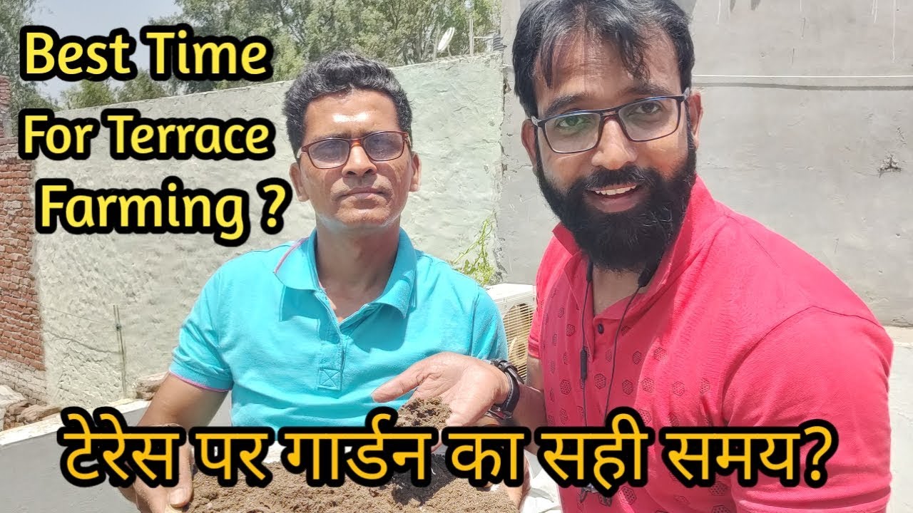 टेरेस पर गार्डन का सही समय? | Best Time For Terrace Farming/Gardening | Plants for Terrace Garden