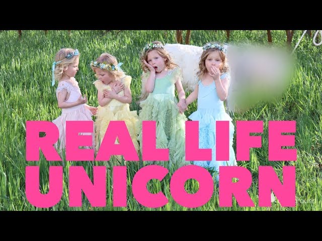 QUADRUPLETS Take Photos With A REAL UNICORN ?
