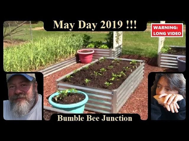 Raised Bed Vegetable Gardening | May Days Garden Update