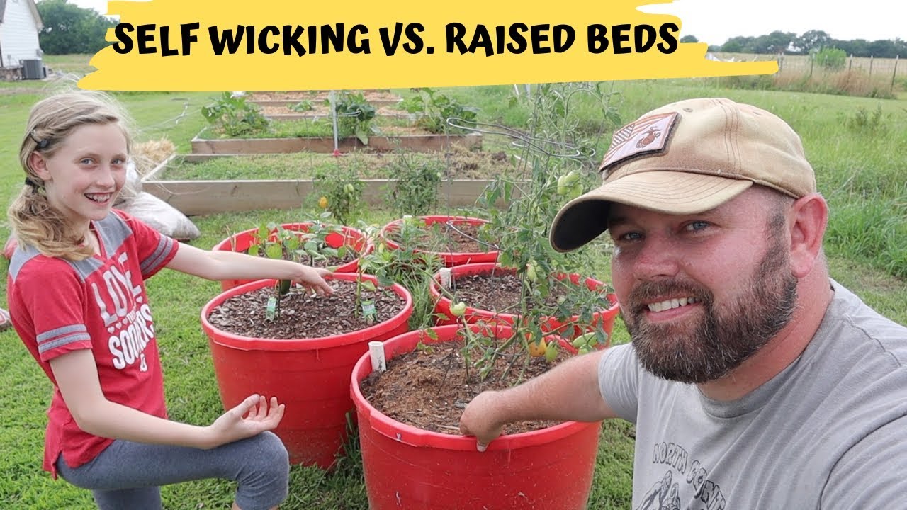 *Homestead Life* Self Wicking Tubs Vs. Raised Bed Gardening!