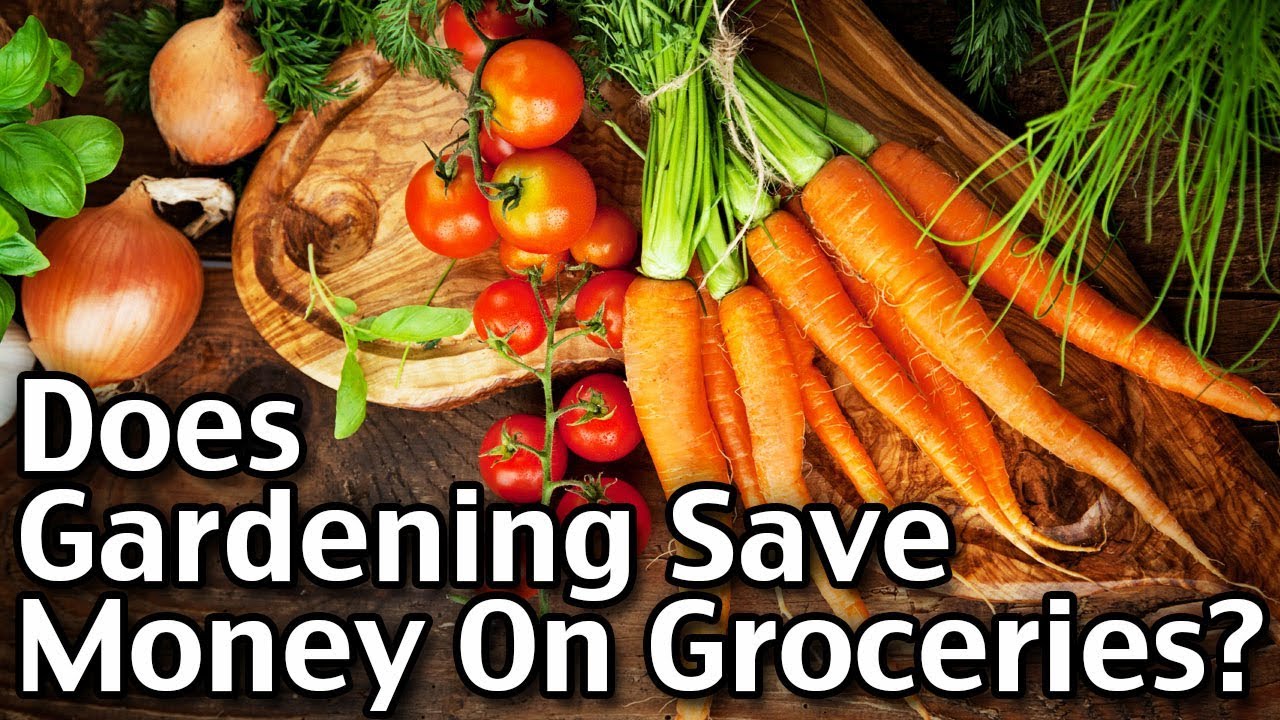Does Gardening Save Money On Groceries?