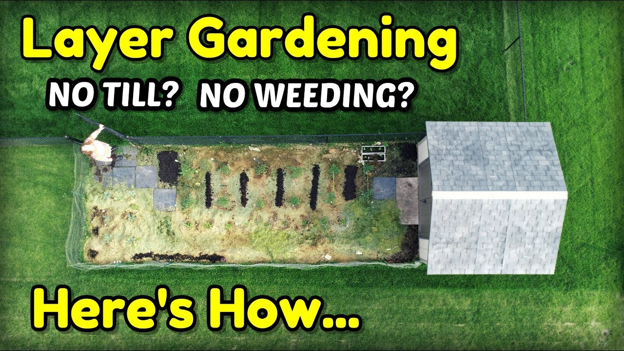 How To Garden with Layer or Lasagna Gardening Method
