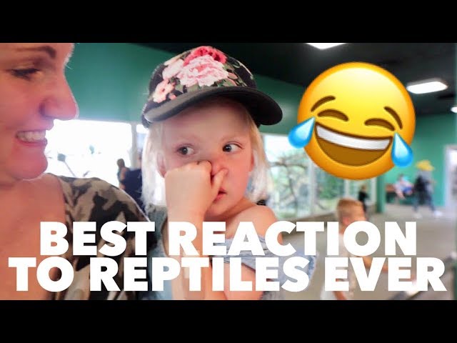 The BEST REACTION To The REPTILE Exhibit EVER! ??