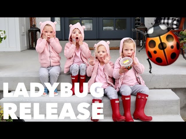 QUADRUPLETS Release LADY BUGS Into The Garden-Who Was SCARED Of Them And Who LOVED It?