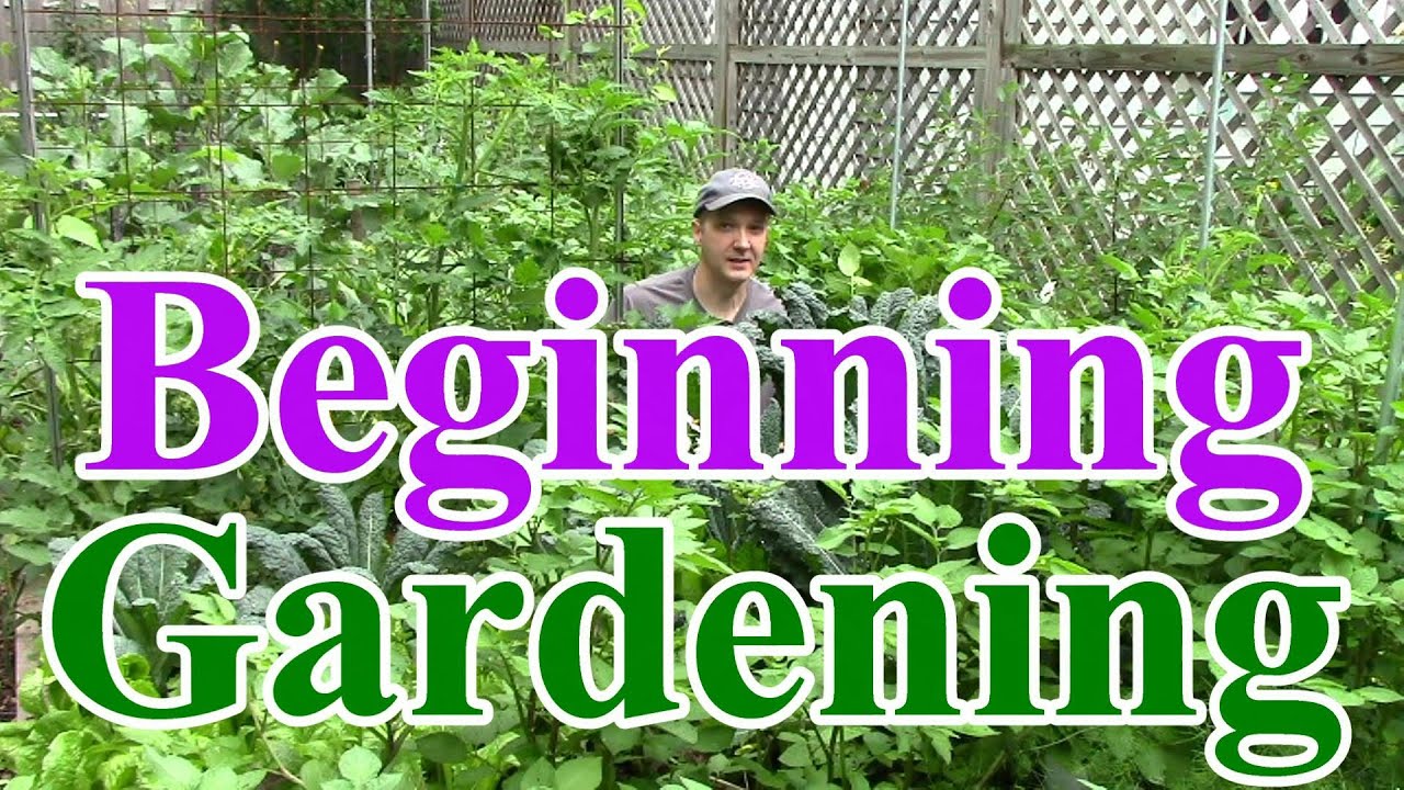 Beginning Gardening Series #1: Best Location for a Vegetable Garden