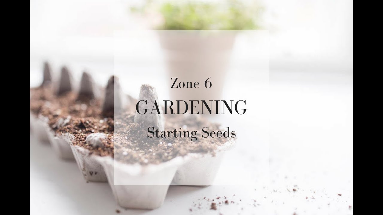 SPRING GARDEN PREPARATION | Zone 6 Gardening