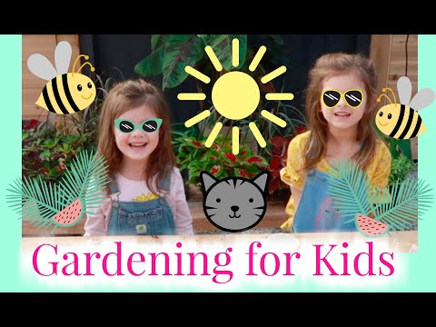 Seeding for Kids | Gardening for Kids | the Window Garden | Seed Starter Kit for Kids