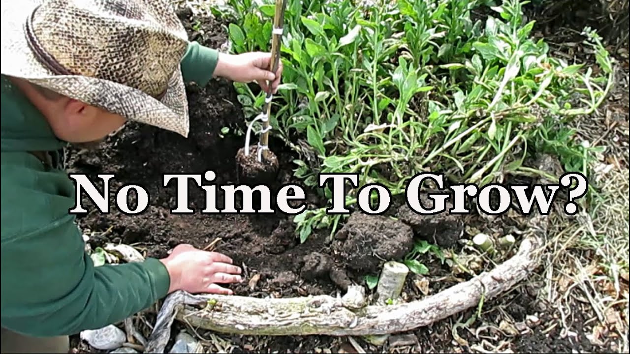 Don't Have Time For Gardening? You Need To Watch This!