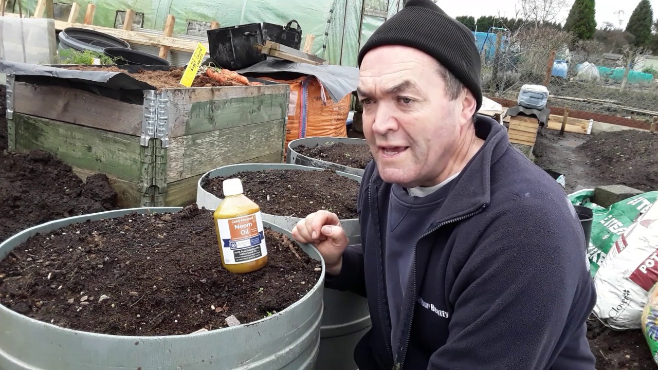 2019 Allotment Gardening Review  ♻️  @Kelly's Kitchen Garden ♻️ @Alternative Smallholding ♻️