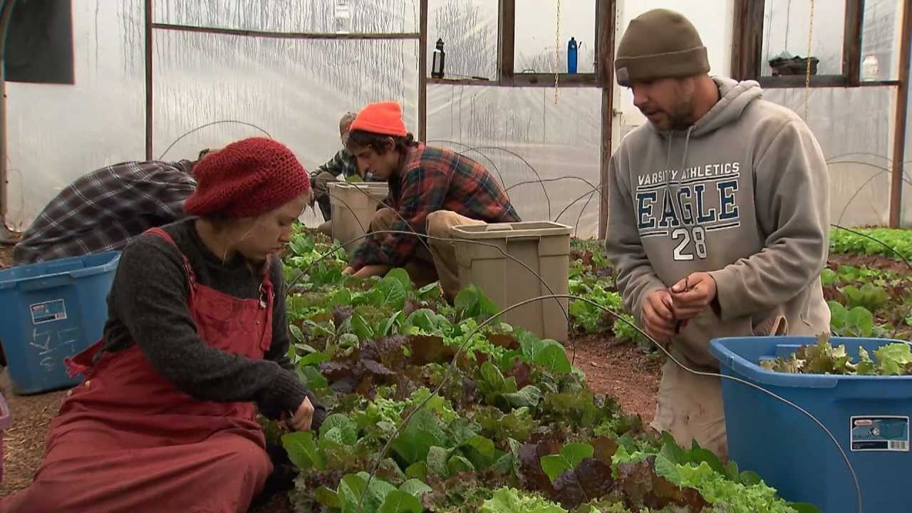 Winter Gardening