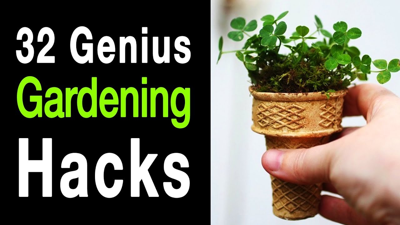 32 Gardening Hacks That Are Borderline Genius...