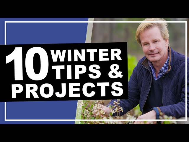 Winter Gardening Tips & Projects | P. Allen Smith (2019)