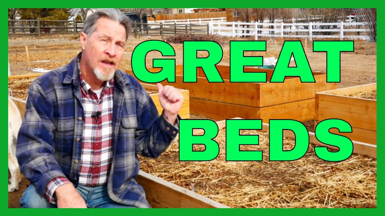 Why Raised Beds Are Best for Gardening (10 Benefits)