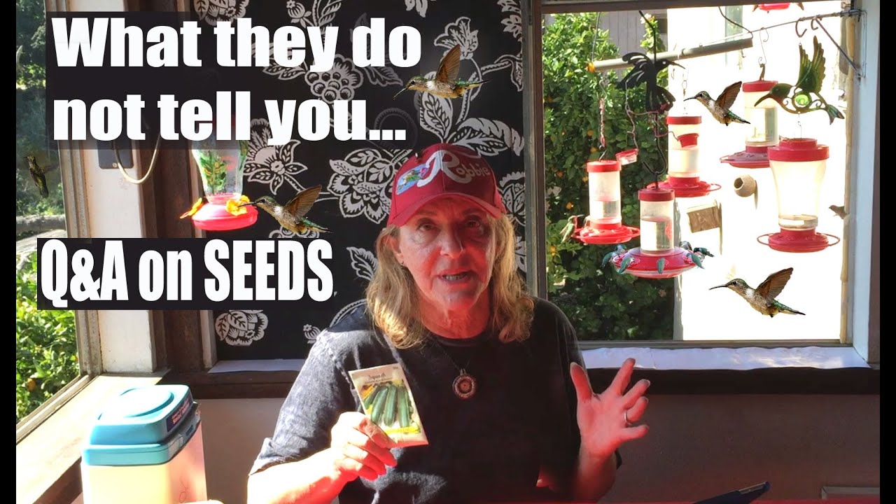 Know Your SEEDS-Gardening Wise Saving Time & Money Growing GOOD Garden Vegetables & Fun Hummingbirds