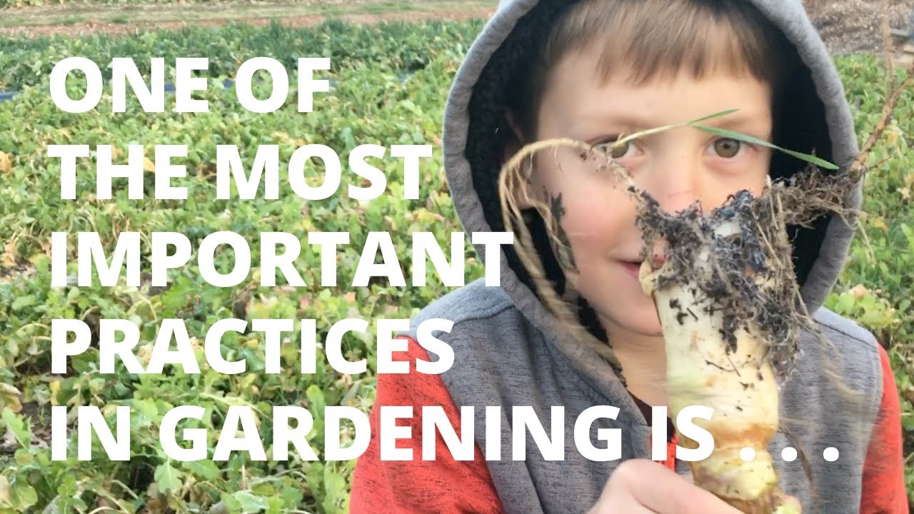 One of the most important practices in gardening is . . .