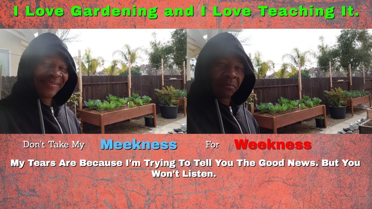 #gardening I'M TRYING TO TELL YOU SOMETHING - BUT YOU WON'T LISTEN
