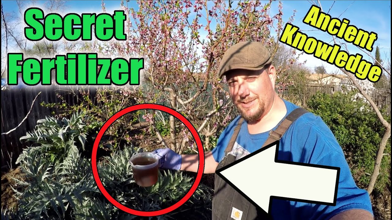 This Secret Garden Fertilizer Recipe Will Take Your Gardening Success To The Next Level!!